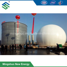 Assembled Steel Anaerobic Digestion Tank for Industrial Waste Treatment